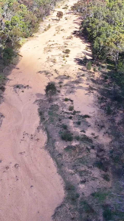 Aerial View of Sandy Dry Creek Bed in Australian Bushland Stock Footage 346579151