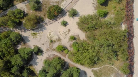 Aerial View of Sandy Dunes and Forest in Lithuania Stock Footage 321753693