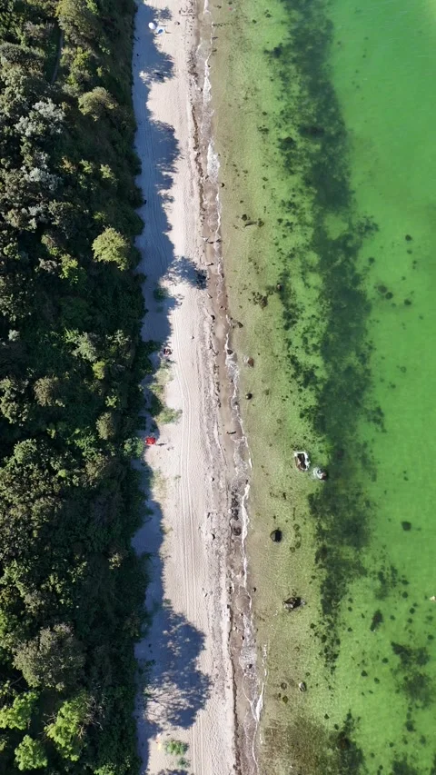 Aerial View of Sandy Forest Beach and Clear Green Water in Germany Vídeo Stock 330255084