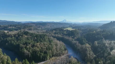 Aerial View of Sandy River, Forest, and Mount Hood in Distance, Oregon Stock Footage 221573392
