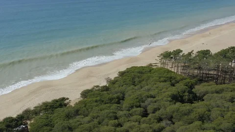 Aerial View Of Sandy Shore Lined With Trees With Caravans Stock Footage 128845720