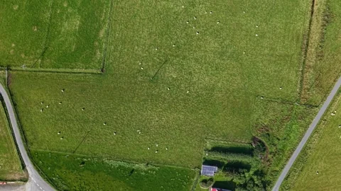Aerial View of Sanick Beach and Village, Sandwick, Shetland Stock Footage 345472525