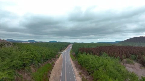 Aerial view of Saryeoni Forest Path in Jeju Island, South Korea Stock Footage 296444546
