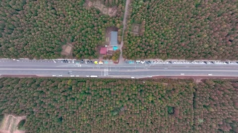 Aerial view of Saryeoni Forest Path in Jeju Island, South Korea Stock Footage 296455853