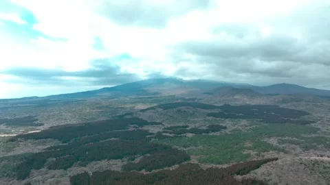 Aerial view of Saryeoni Forest Path in Jeju Island, South Korea Stock Footage 296456239