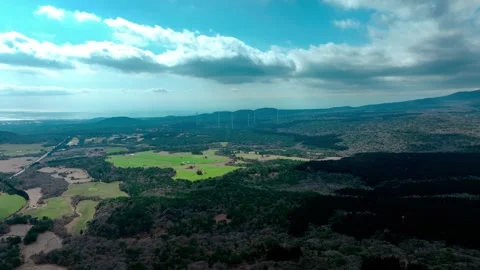 Aerial view of Saryeoni Forest Path in Jeju Island, South Korea Stock Footage 296456883