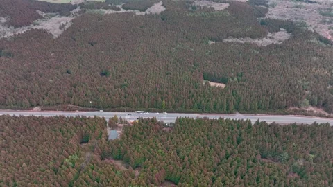 Aerial view of Saryeoni Forest Path in Jeju Island, South Korea Stock Footage 296457405