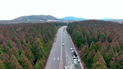 Aerial view of Saryeoni Forest Path in Jeju Island, South Korea Stock Footage 296461497