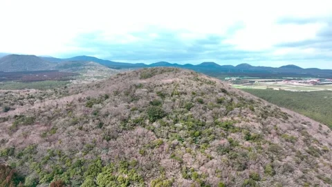 Aerial view of Saryeoni Forest Path in Jeju Island, South Korea Stock Footage 296463062