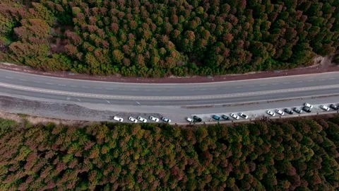 Aerial view of Saryeoni Forest Path in Jeju Island, South Korea Stock Footage 296463881