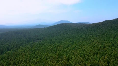 Aerial view of Saryeoni Forest Path in Jeju Island, South Korea Stock Footage 296558962