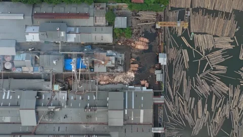 Aerial view of sawmill processing plant with timber logs floating on water Stock Footage 328918782