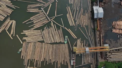 Aerial view of a sawmill sorting and processing wooden logs in water Stock Footage 328918790