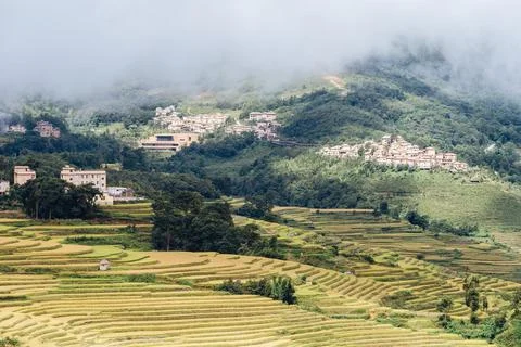 Aerial view of the scene of rice fields in Yuanyang Terrace Scenic Area Stock Photos