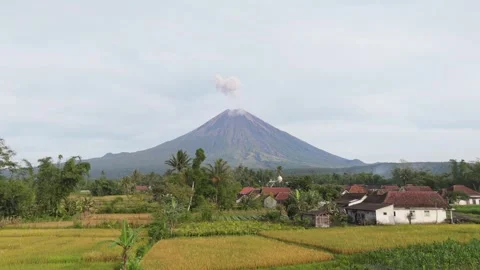 Aerial view of a scenic Java village with vibrant greenery and traditional Stock Footage 330616101
