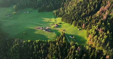 Aerial View of the Scenic Pine Forests and Majestic Mountain Ridges in Italy's Stock Footage 278510058