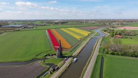 Aerial view of scenic river path with boat, tulip rows, and windmill nearby Stock Footage 313164932