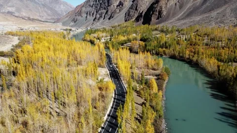 Aerial view of a scenic river surrounded by fiery fall foliage in Ladakh. Stock Footage 310782295