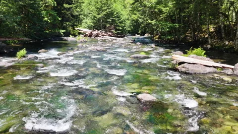 Aerial View of a Scenic Stream Surrounded by Forest in Oregon Stock Footage 339749685