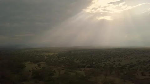 Aerial view of scenic sunrays over bushland, Kenya Video stock 150497290