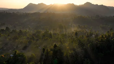 Aerial view of a scenic sunset over a dense forest near a mountain, Indonesia. Stock Footage 120079970