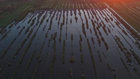 Aerial view of scheendijk peat polder at sunset in the netherlands Stockbeeldmateriaal 341522534