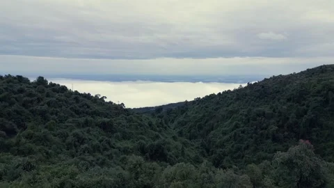 Aerial View of Sea of Clouds Over Misty Mountains in Meghalaya 库存影片 339774726