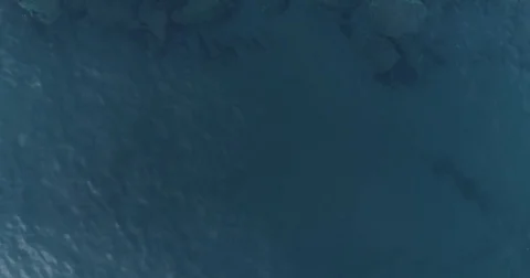 Aerial view sea 動画素材 83424609