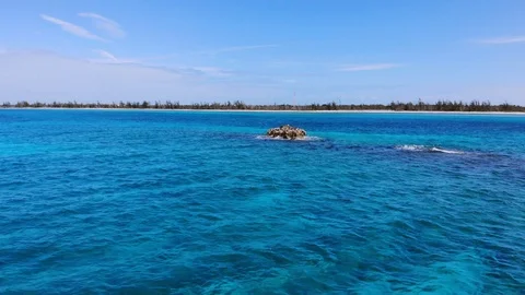 Aerial View of Sea Rocks in Clear Blue Waters, Grand Bahama, Bahamas Stock Footage 105535005