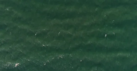 Aerial view of the sea surface Stockbeeldmateriaal 82048000