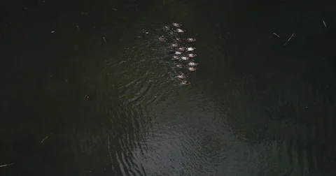 Aerial view of the sea surface Stock-Footage 83898540