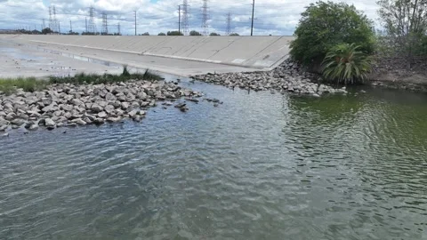 Aerial View of Sea Turtle in Los Angeles River Stock Footage 346752290