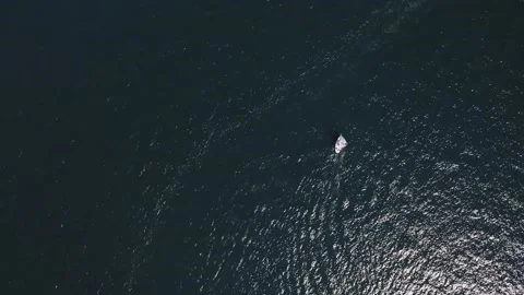 Aerial view on the sea water surface with a lot of white yachts swim there Stock Footage 144679751
