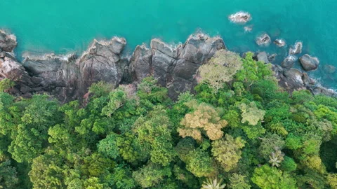 Aerial view sea wave beach with white sand tropical forest Stock Footage 219404437