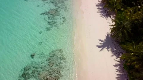 Aerial view of sea waves, green palms on the sandy beach at sunset. Summer in Stock Footage 166445873
