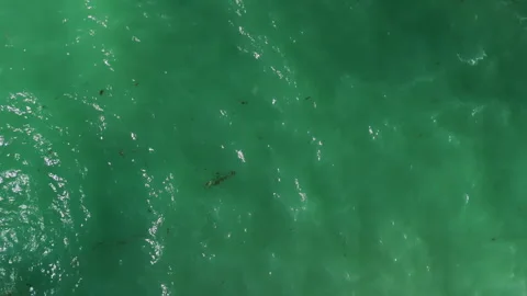 Aerial view of sea waves texture Stock Footage 331008732