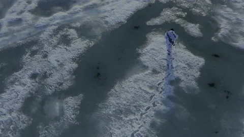 Aerial view of a seal hunter on the pack ice in Chukotka, Russia. Stock Footage 196302955