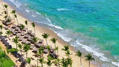 Aerial view of a seamless loop of waves on a sandy Hawaiian palm beach. Stock Footage 329744981