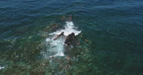 Aerial view seascape Stock Footage 100142035
