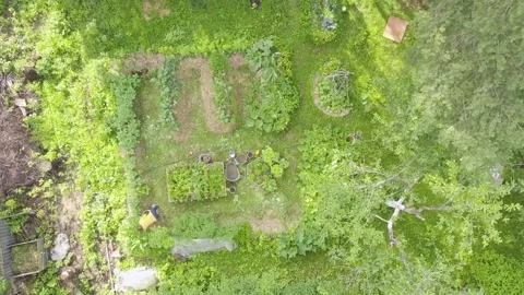 Aerial view on seasonal works in backyard garden, growing food agriculture Stock Footage