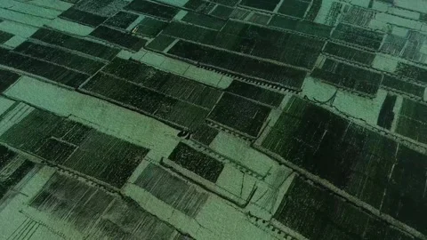 Aerial view of seaweed farming fields in Nusa Penida, Indonesia. Stock Footage 341443176