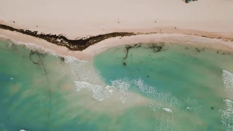 Aerial view of seaweed lined turquoise shore Stock Footage 345681936