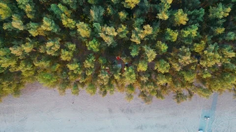 Aerial View of Secluded Beach with Dense Forest Border Stock Footage 306006546