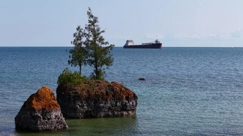 Aerial view of a secluded tree on rocks in front of Lake Huron and shipping Stock Footage 336506298