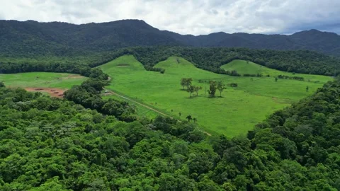 Aerial view of a section of tropical rainforest cleared as pasture for cattle Stock Footage 307877647