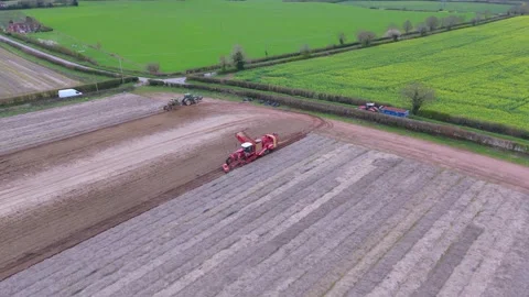 Aerial view of a self propelled harvester collecting crop of carrots in a field Stock Footage 332511246