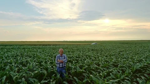 Aerial view of senior farmer standing in corn field examining crop. Stock Footage 111425891