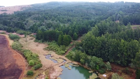 Aerial view of a serene lake surrounded by lush green forest and a field on a Stock Footage 308979110