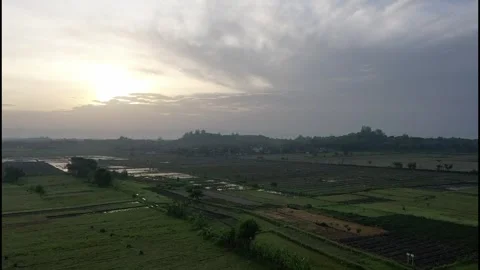 Aerial View of Serene Rice Fields at Sunrise with Soft Cloudy Sky Video stock 298501676