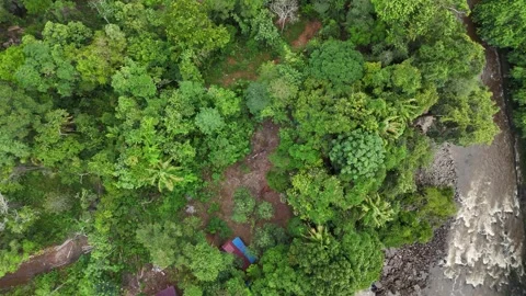 Aerial view of a serene waterfall surrounded by lush greenery and dense forest. Stock Footage 337992483